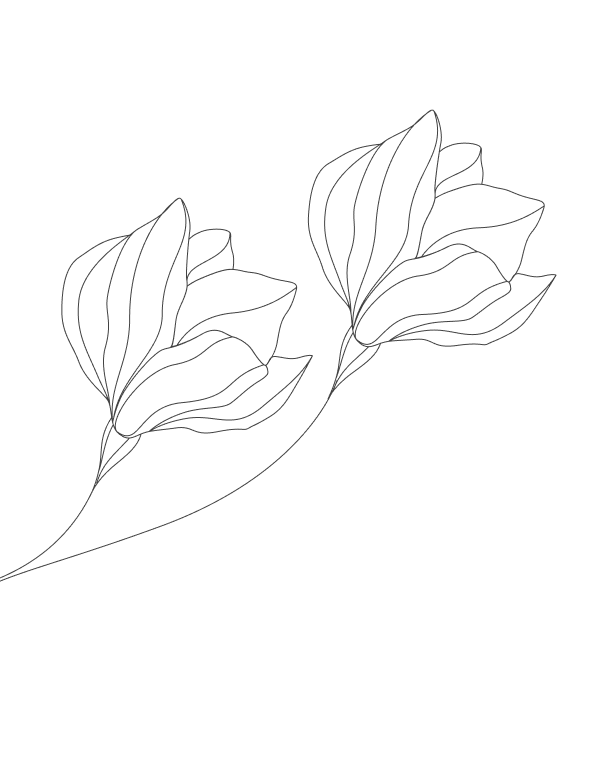 Blog-Shape