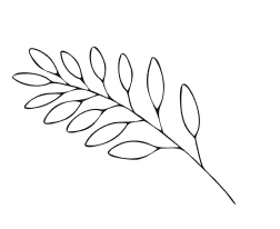 OBJECTS