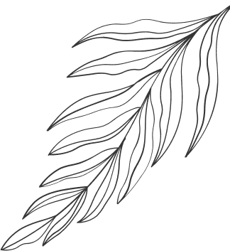 Story-Shape